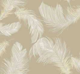 Shades of White Feather