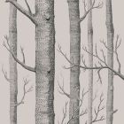 Woods - Multi Colour Wallpaper