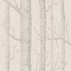 Woods - Brown & Beige Wallpaper