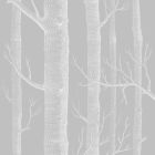 Woods - Grey Wallpaper
