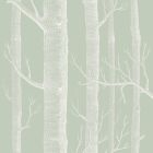 Woods - Green Wallpaper