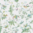 Hummingbirds - Multi Colour Wallpaper