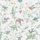 Hummingbirds - Multi Colour Wallpaper