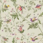Hummingbirds - Green Wallpaper