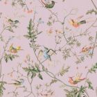 Hummingbirds - Pink & Purple Wallpaper