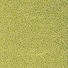 Kairi Fabric - Lime