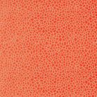 Kairi Fabric - Reds