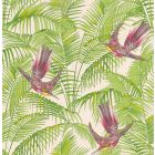 Sunbird - Green Wallpaper