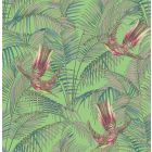 Sunbird - Green Wallpaper