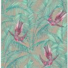 Sunbird - Silver Wallpaper