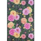 Duchess Garden  - Multi Colour Wallpaper