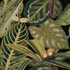 Amazonia - Green Wallpaper