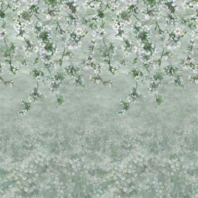 Assam blossom