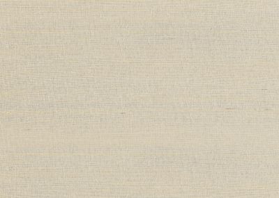 RAFIA PLAIN