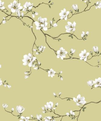 MOONLACE MAGNOLIA