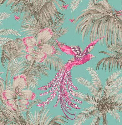 Bird of Paradise