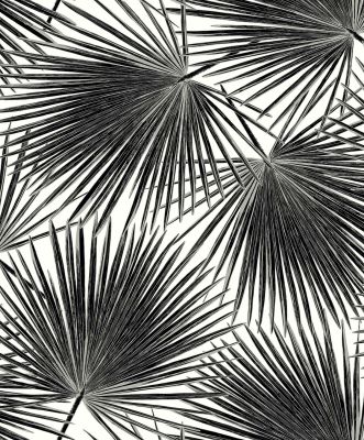 PALM