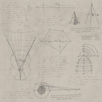 Newton Geometry