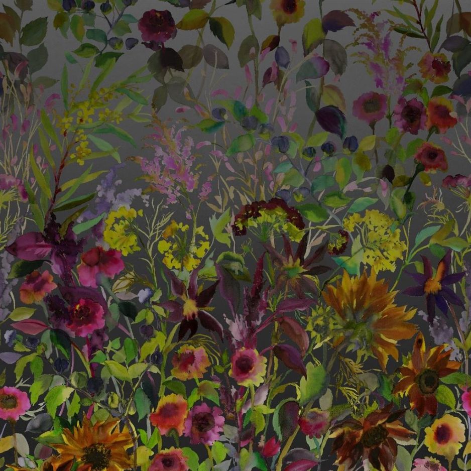 Indian sunflower graphite