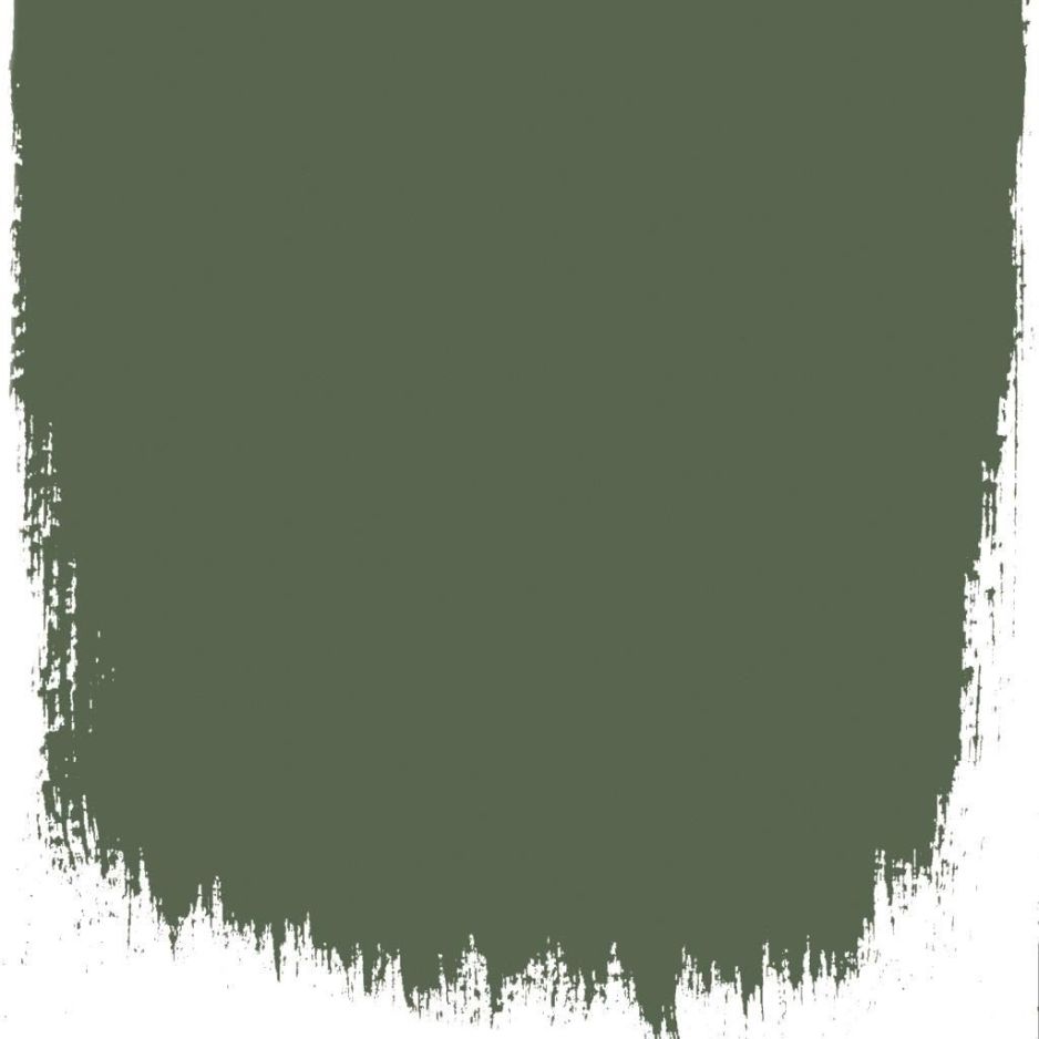 Quercus  no 177  perfect paint 