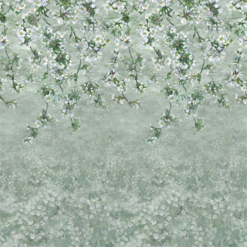 Assam blossom