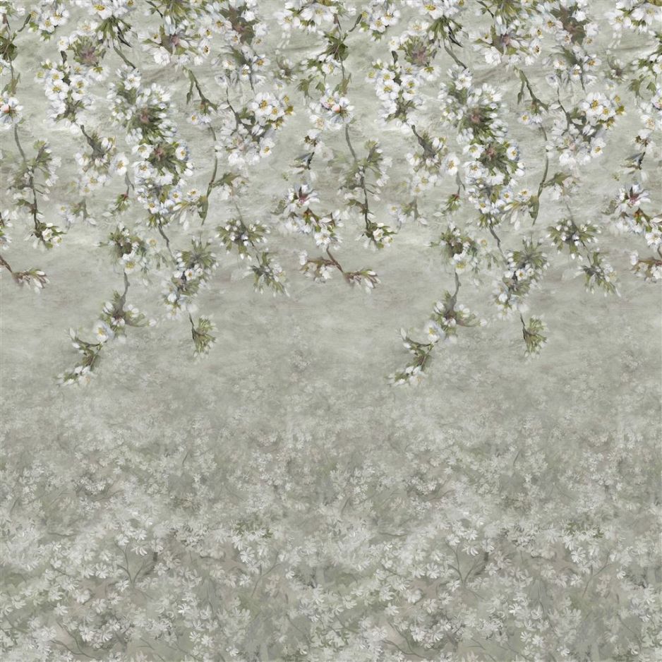 Assam blossom