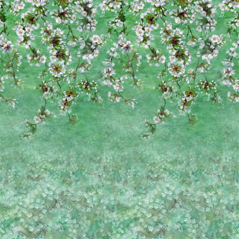 Assam blossom