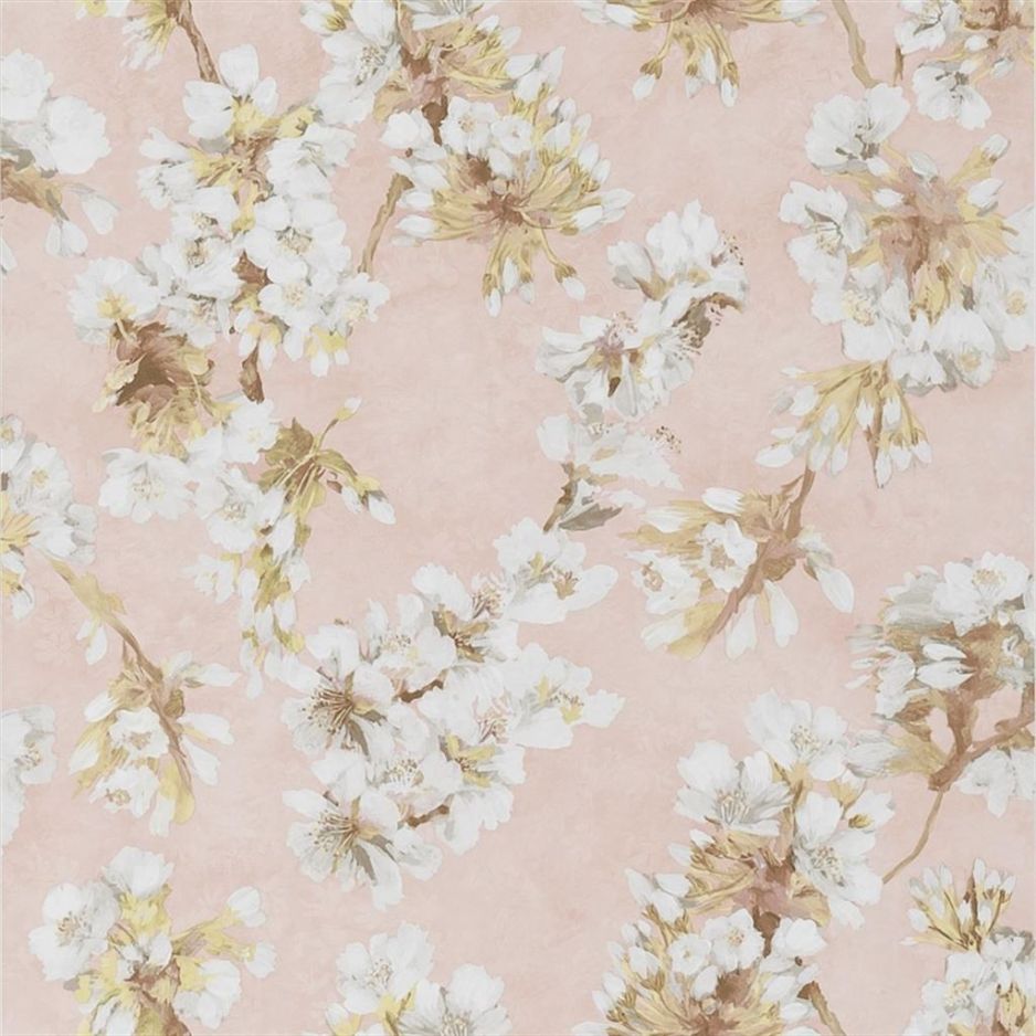 Fleur d assam