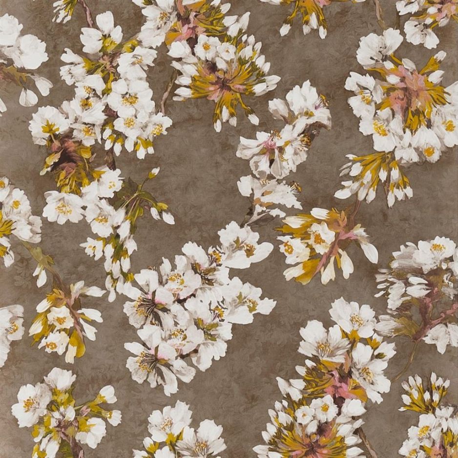 Fleur d assam