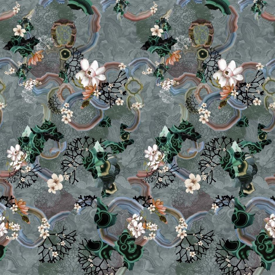 Algae Bloom