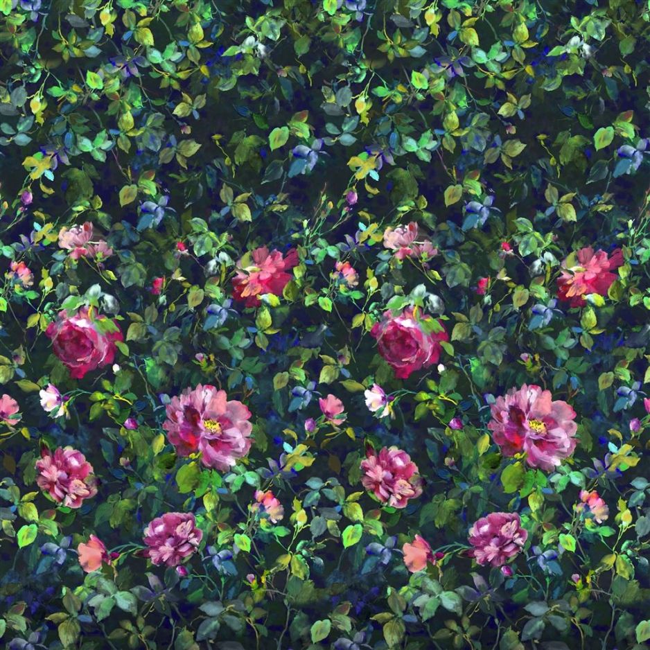 Gertrude rose fuchsia