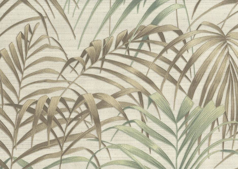 DISEGNO FERN