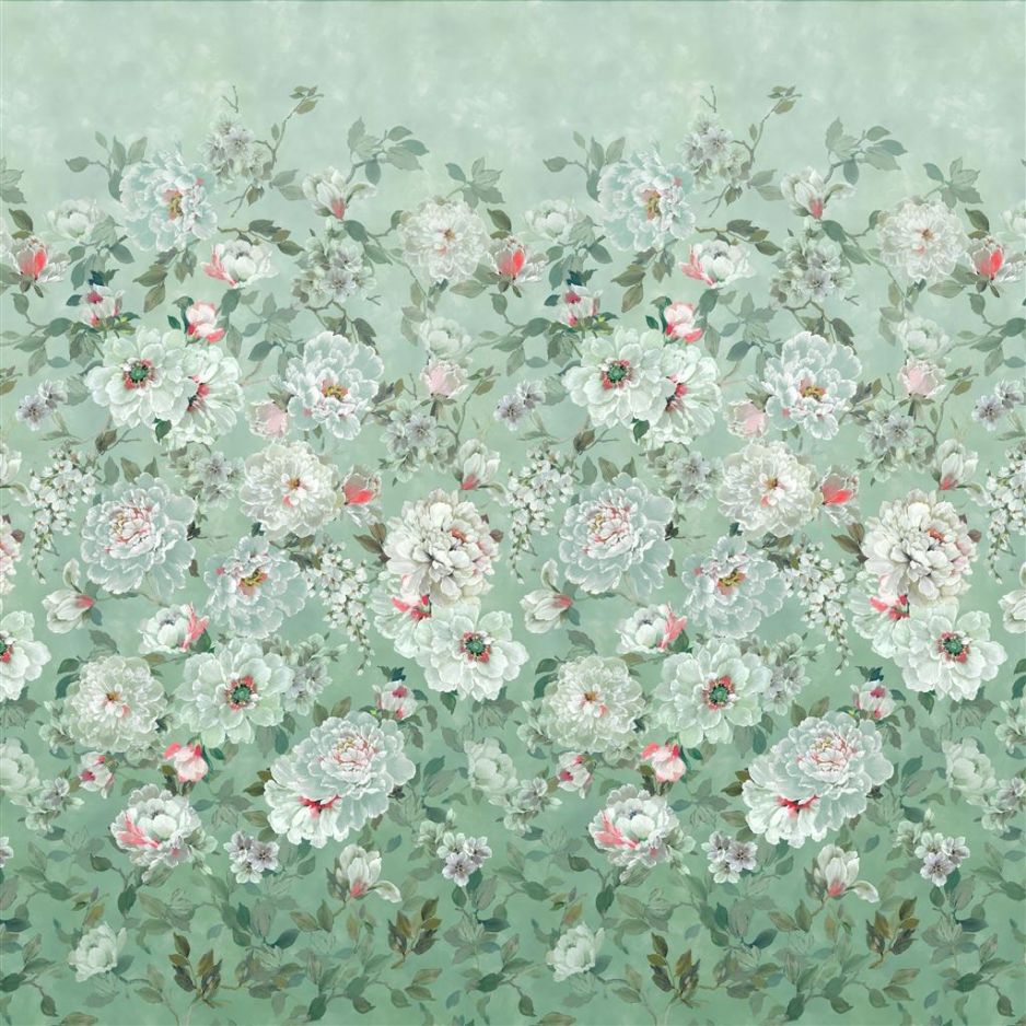 Fleur blanche