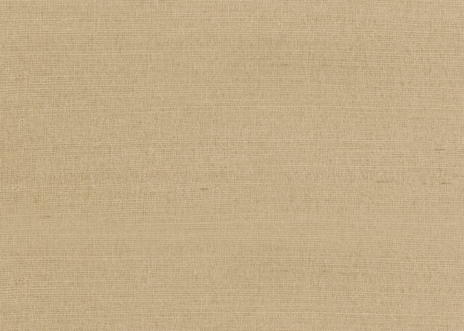 RAFIA PLAIN