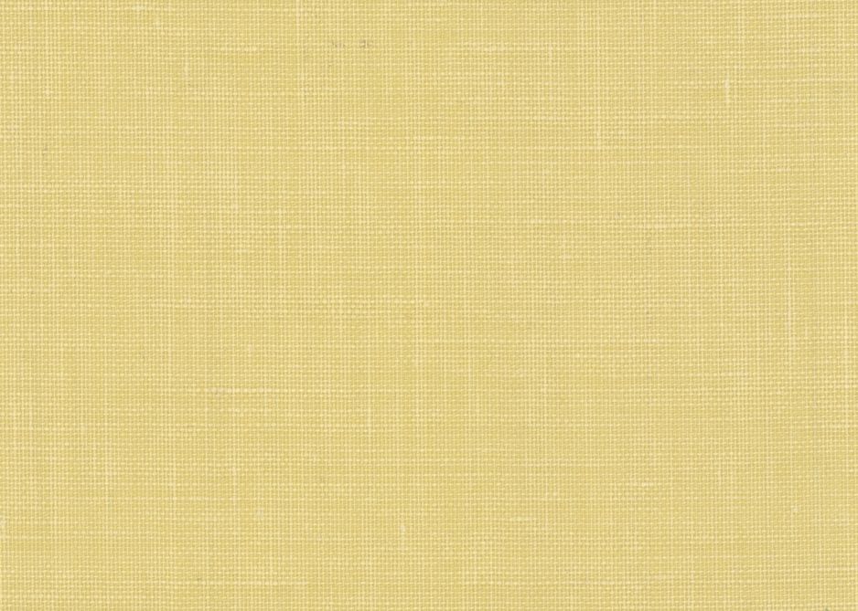 JUTE