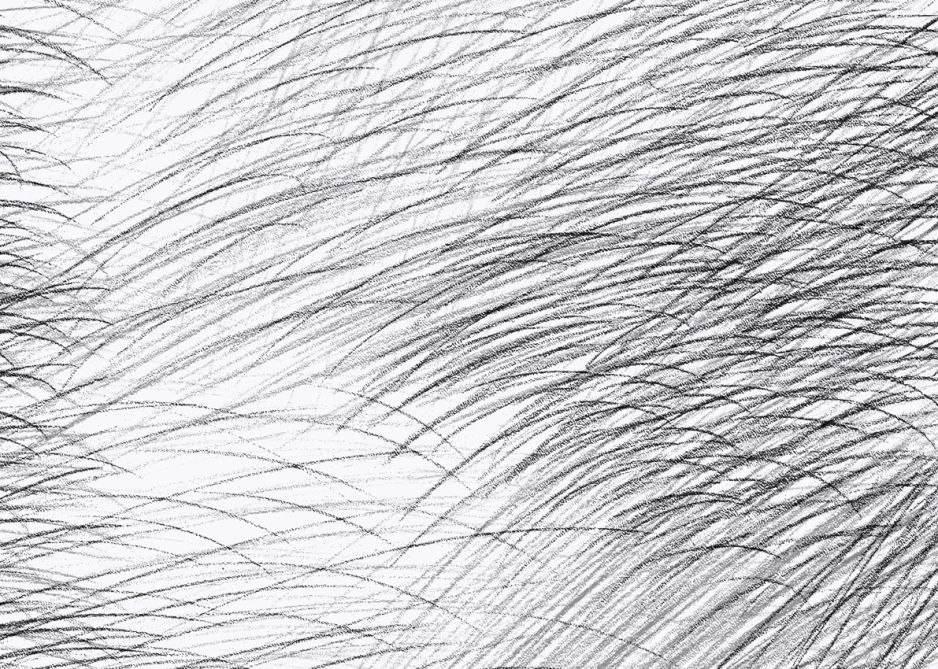 LEPO - Black & White Wallpaper