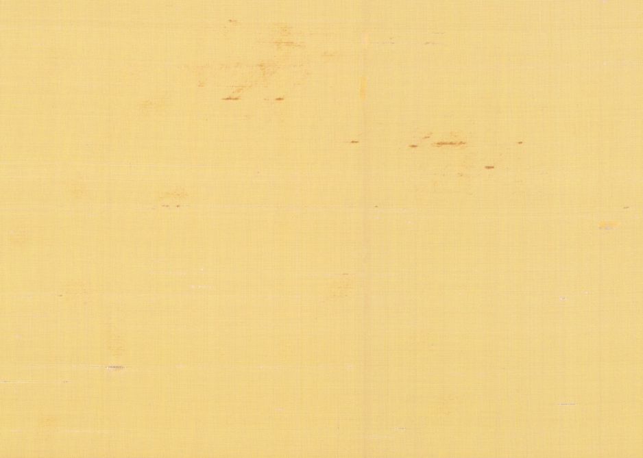 BRIGHT SILK