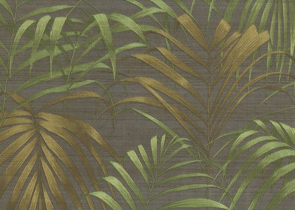DISEGNO FERN