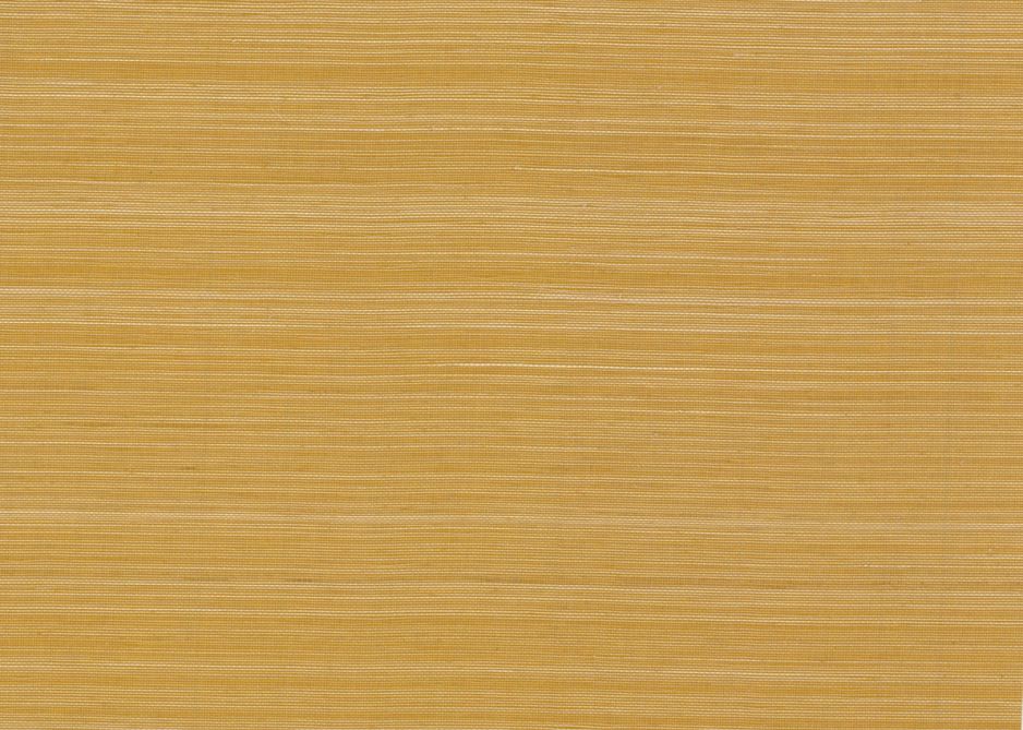 ABACA