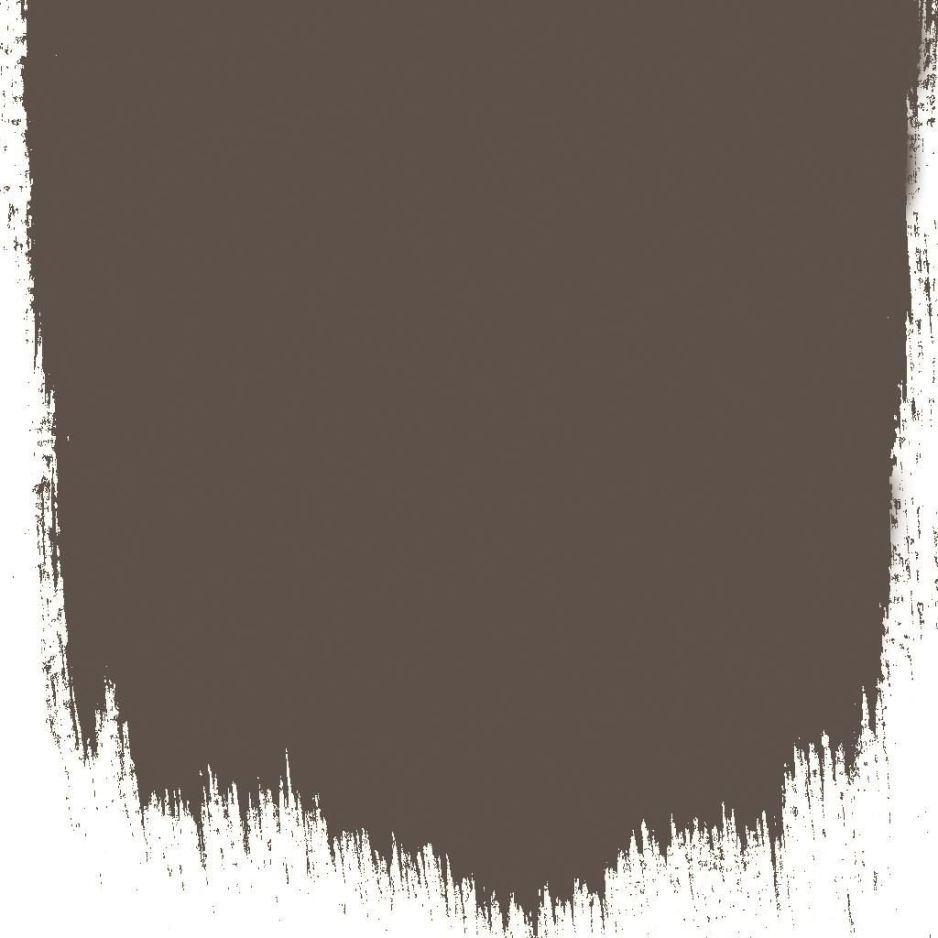 Cocoa bean  no 15  perfect paint 
