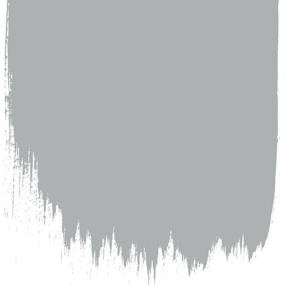 Cheviot flannel  no 39  perfect paint 
