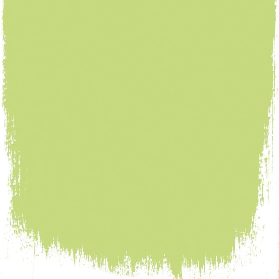 Lime tree  no 96  perfect paint 