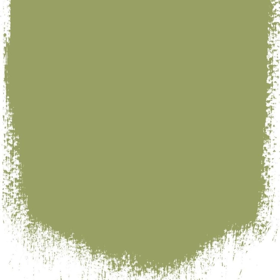 Asparagus fern  no 94  perfect paint 