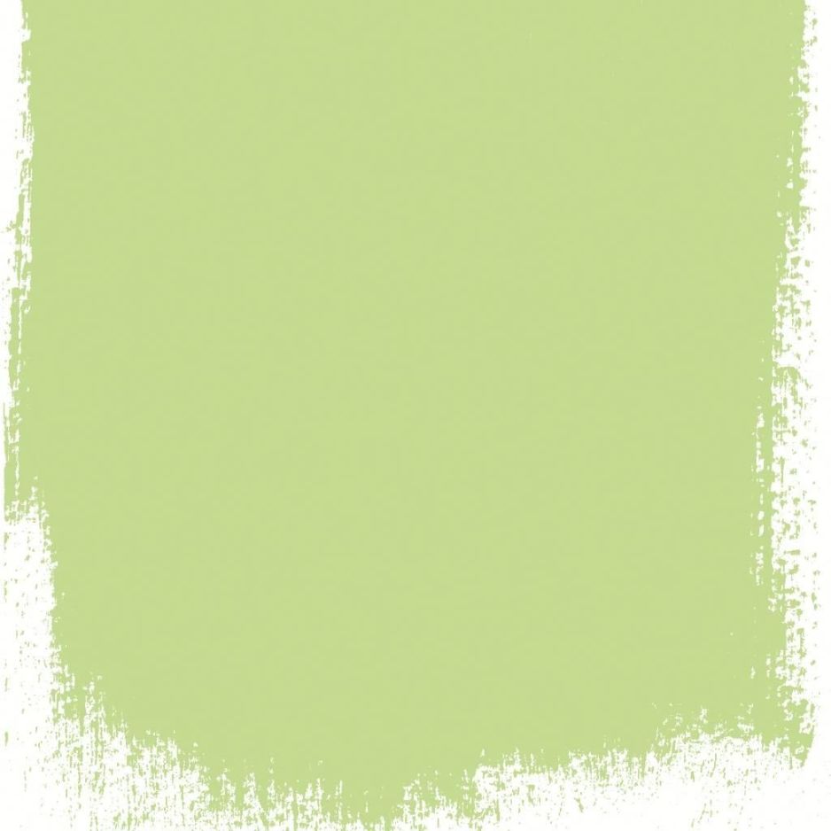 Mimosa leaf  no 101  perfect paint 