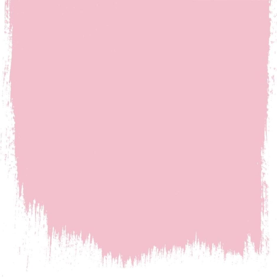 Dianthus pink  no 132  perfect paint 