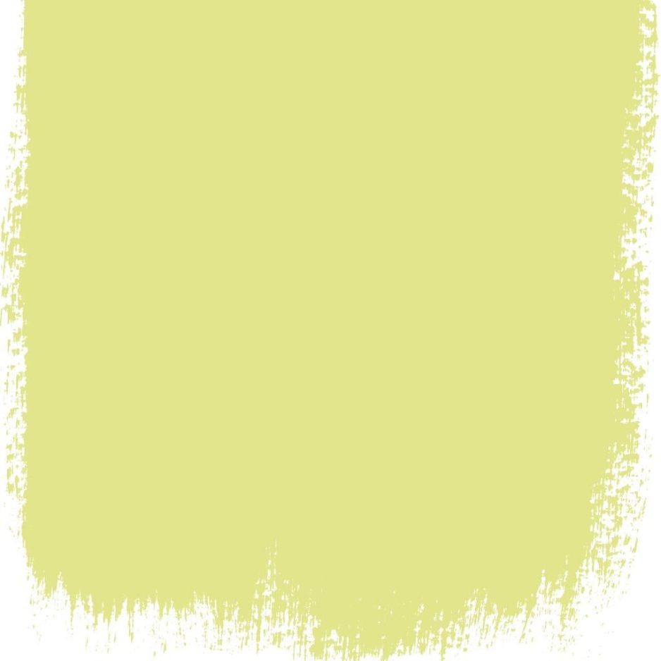 Alchemilla  no 112  perfect paint 