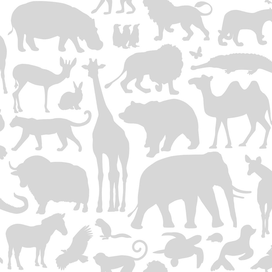 ANIMAL PARADE