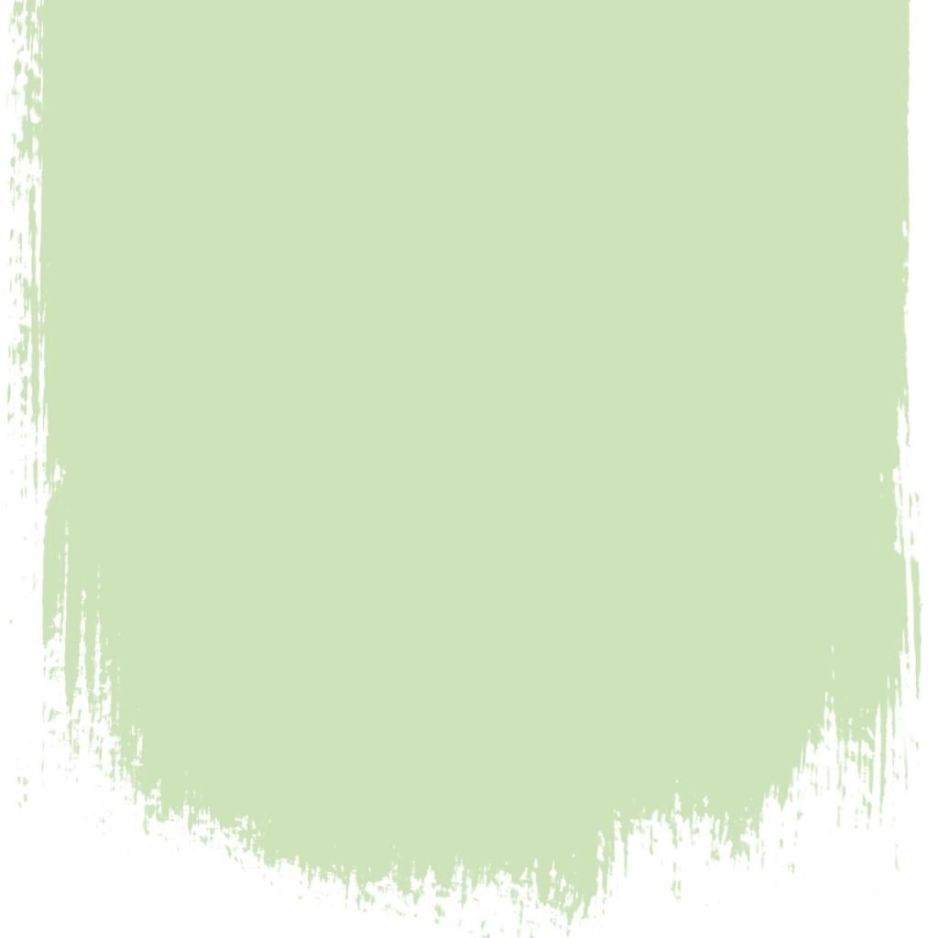 Peppermint cream  no 97  perfect paint 