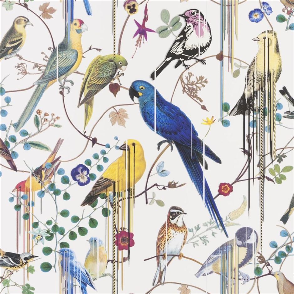 Birds sinfonia