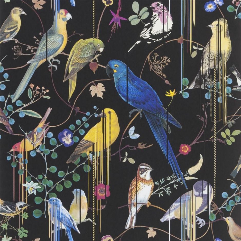 Birds sinfonia
